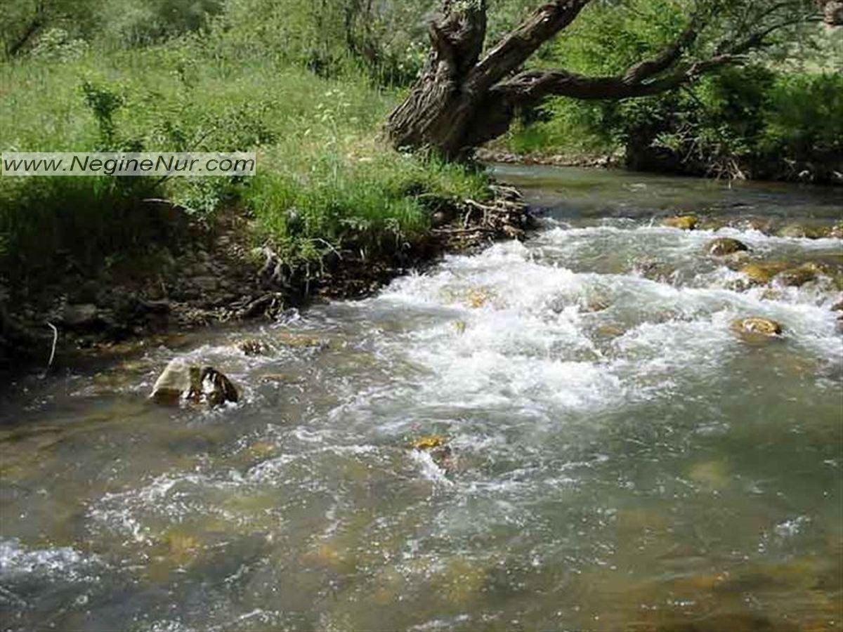 نمایی زیبا از رودخانه تجن واقع در شهر ساری